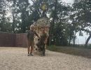 bongos4x4 hz5lntbre
