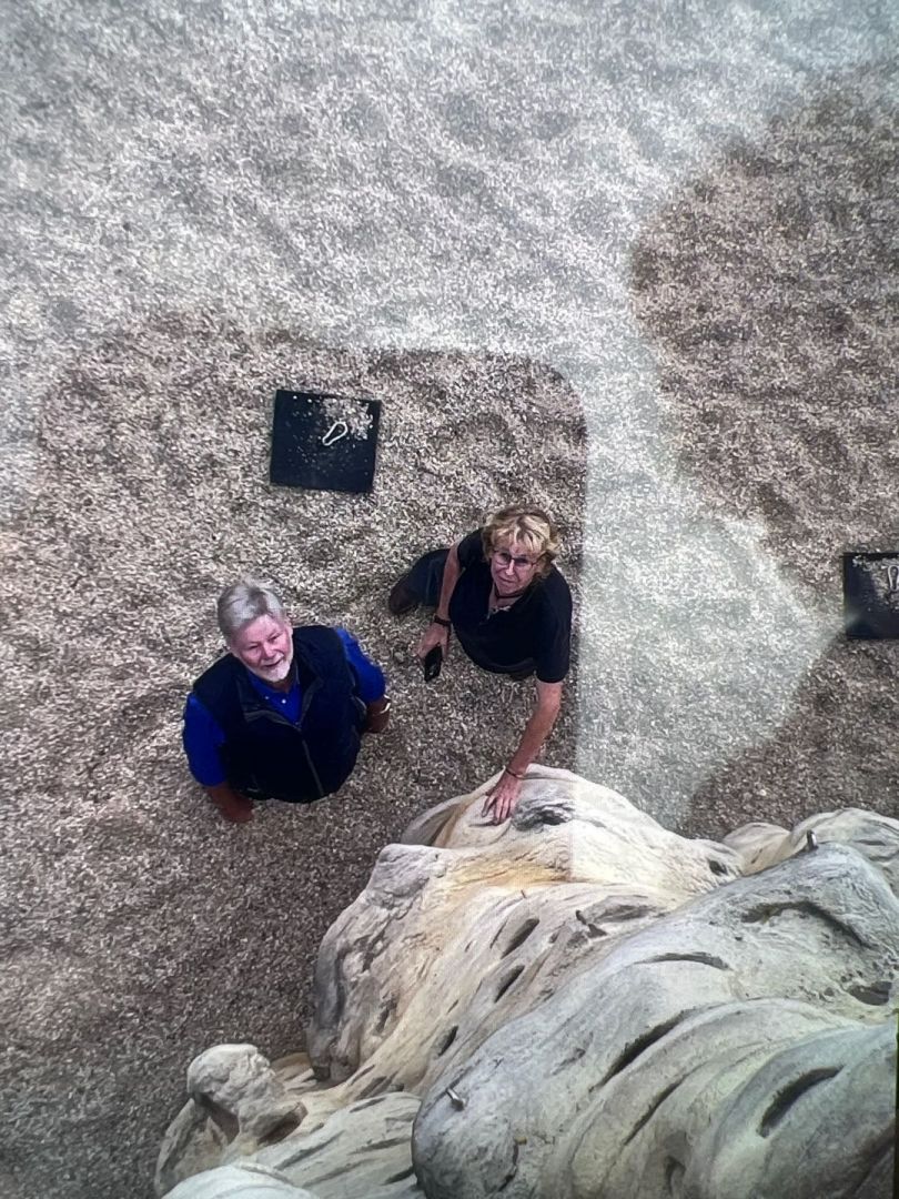 pattan yaybjc26d